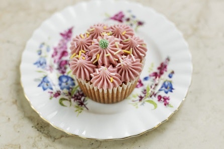 Beginners Cupcake Decorating with Cookie Girl 1