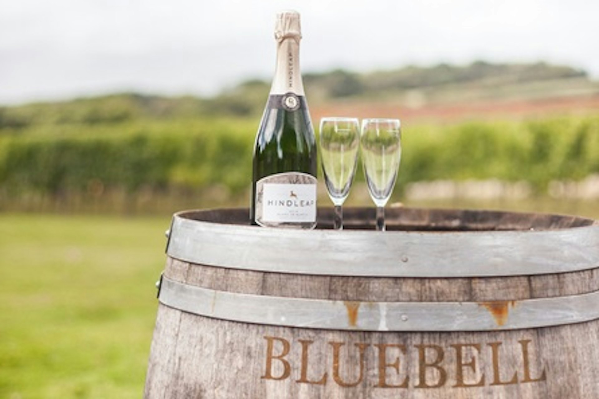 Bluebell Vineyard Estates Tour with Cheese and Wine Tasting for Two 4