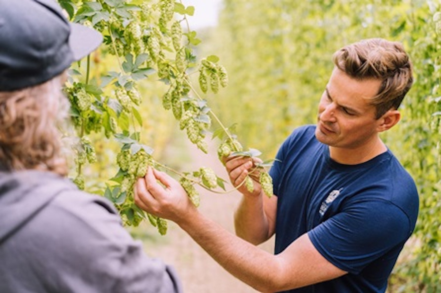 Craft Beer Tasting and Tour of Hukins Hops Farm for Two 1