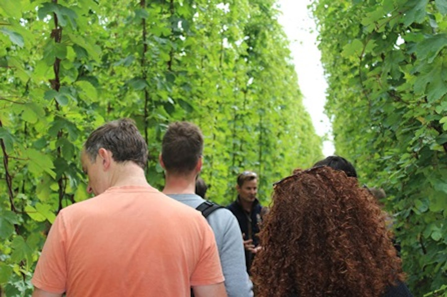 Craft Beer Tasting and Tour of Hukins Hops Farm for Two