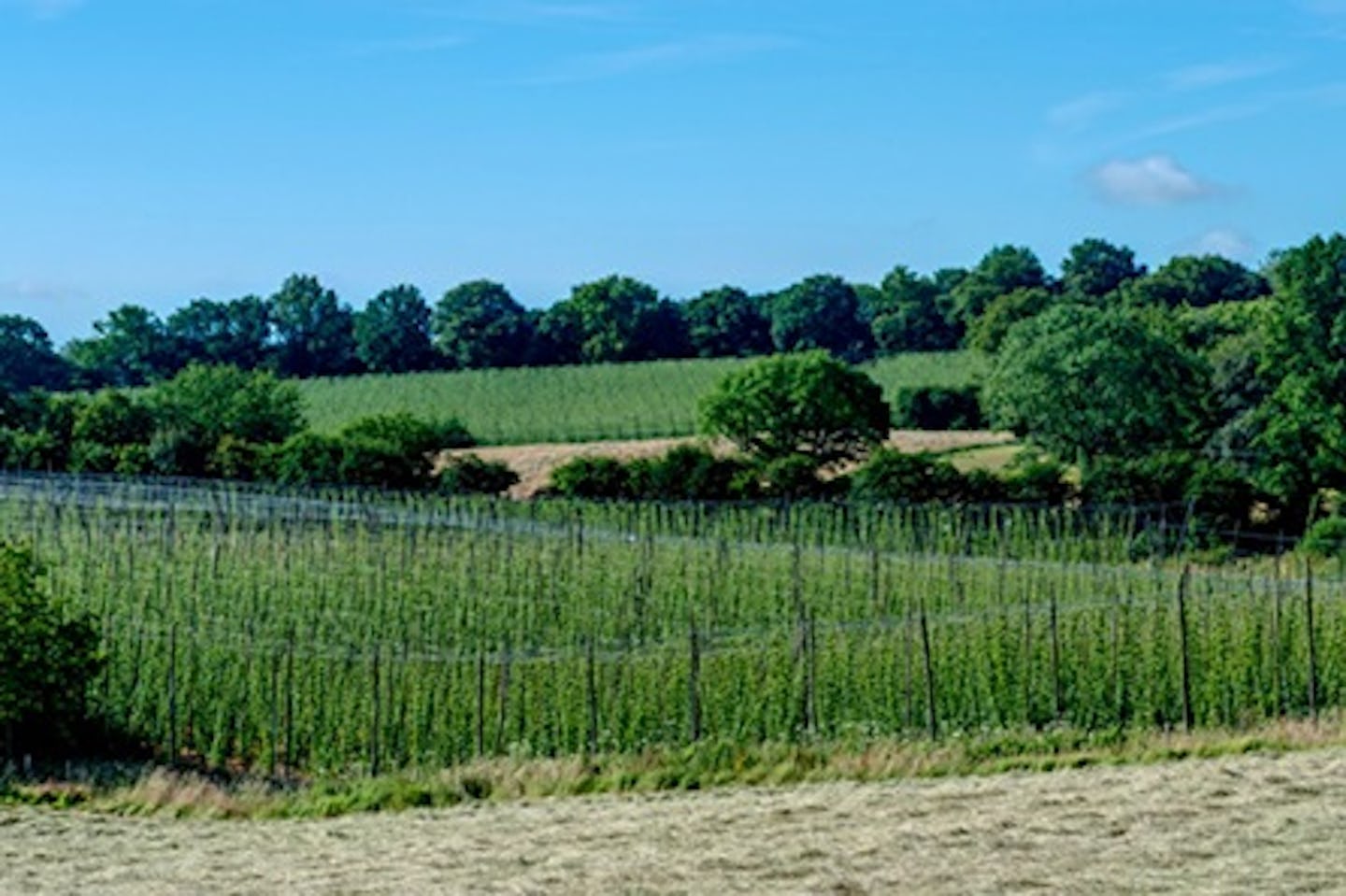 Craft Beer Tasting and Tour of Hukins Hops Farm for Two