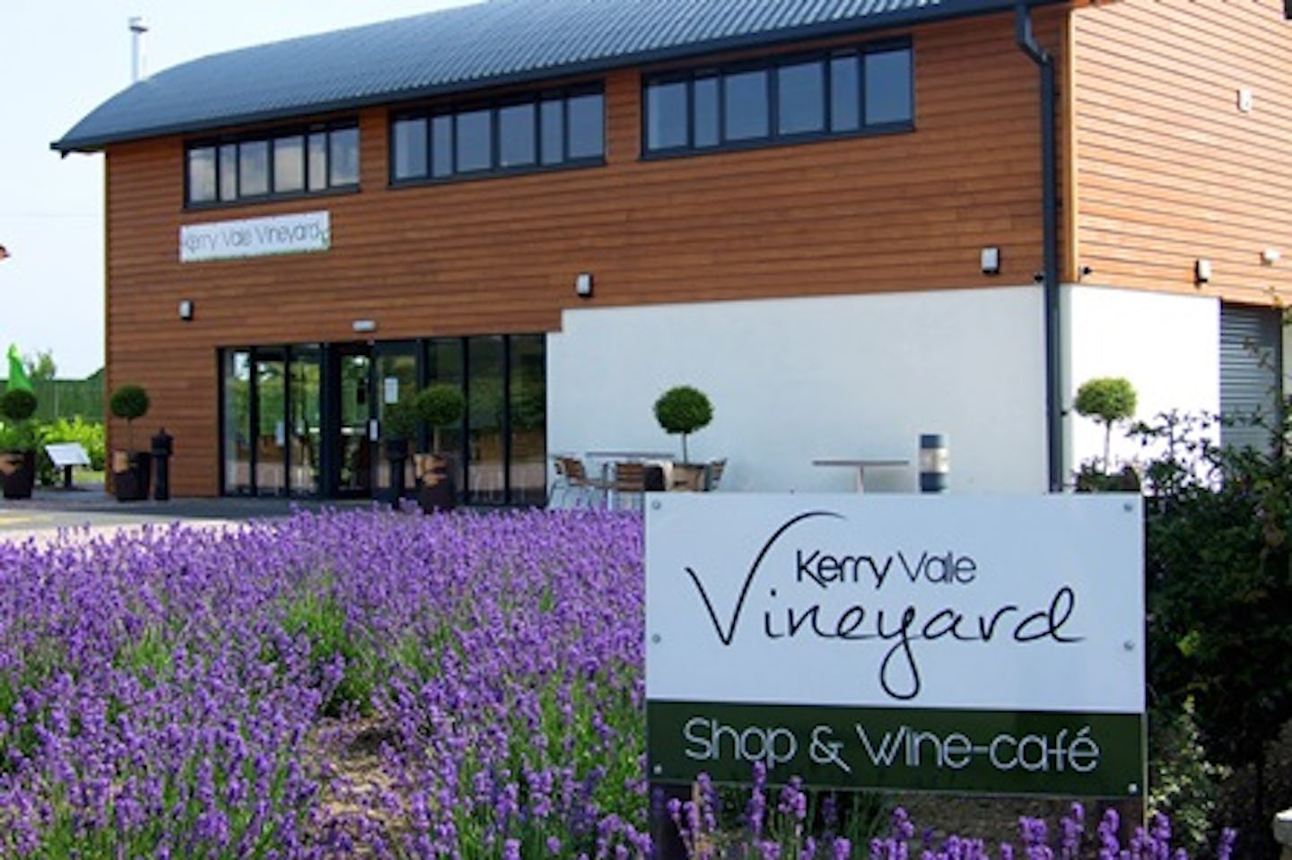 Deluxe Vineyard Tour and Wine Tasting for Two at Kerry Vale Vineyard