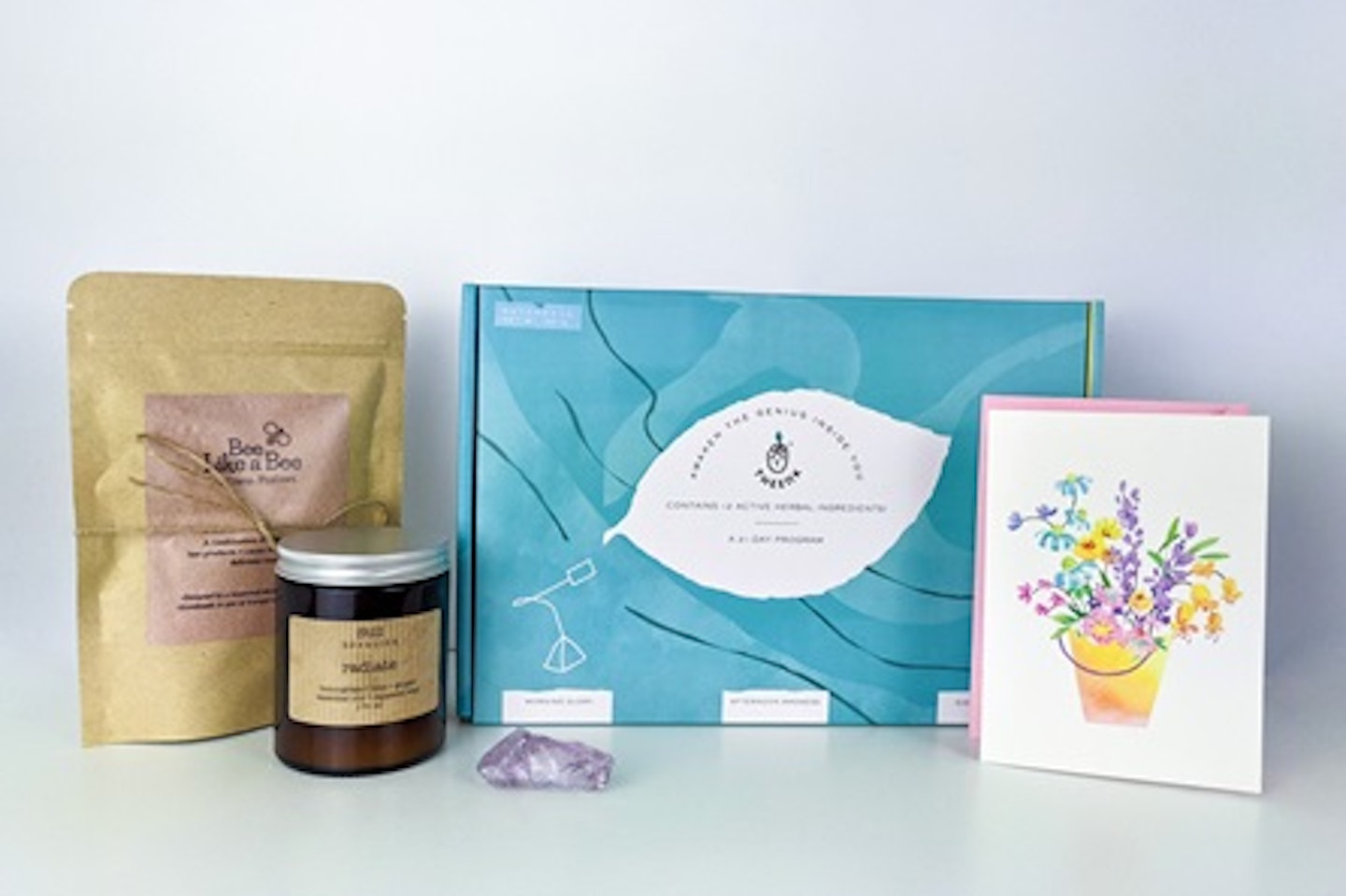 Deluxe Wellness Gift Box with 21 Day Tea Program from Theenk Tea 1