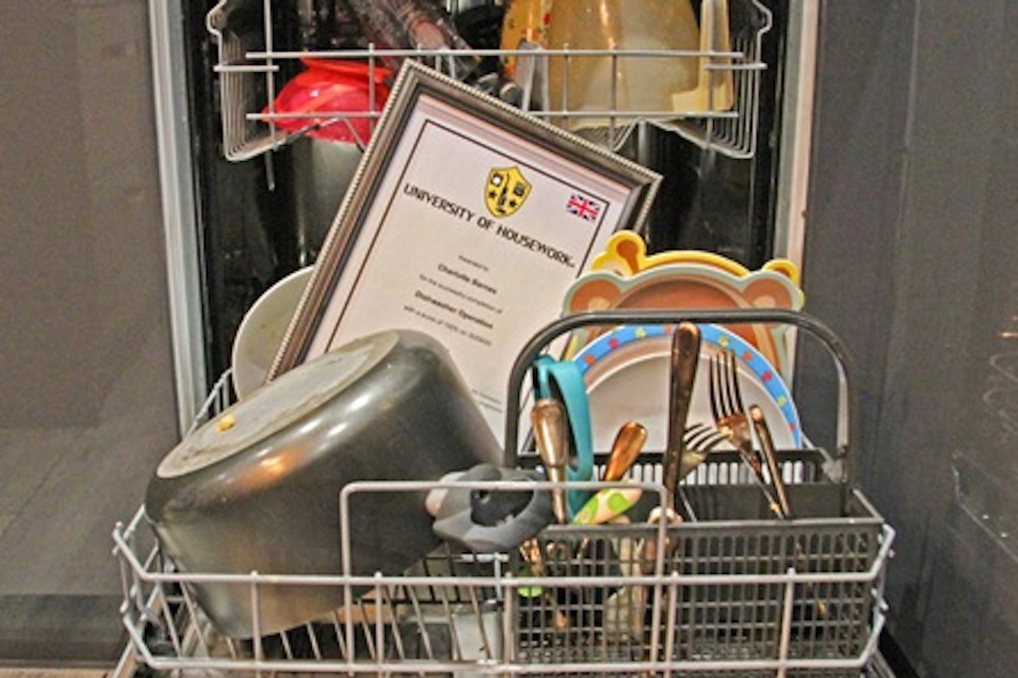 Dishwasher Excellence Online Training Course with the University of Housework 1