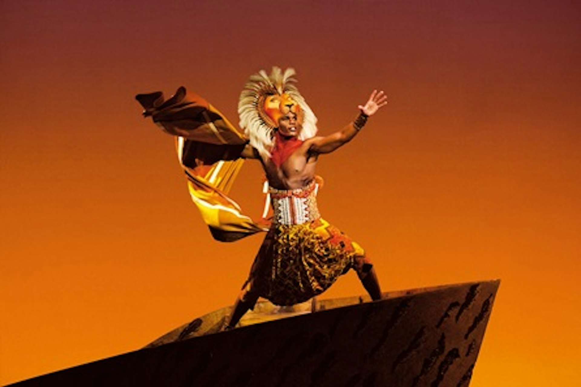 Disney's The Lion King Theatre Tickets with Two Course Meal and Wine for Two 2