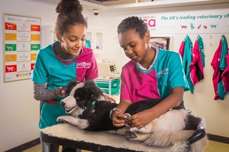 Entry to KidZania London for One Adult and One Child 2