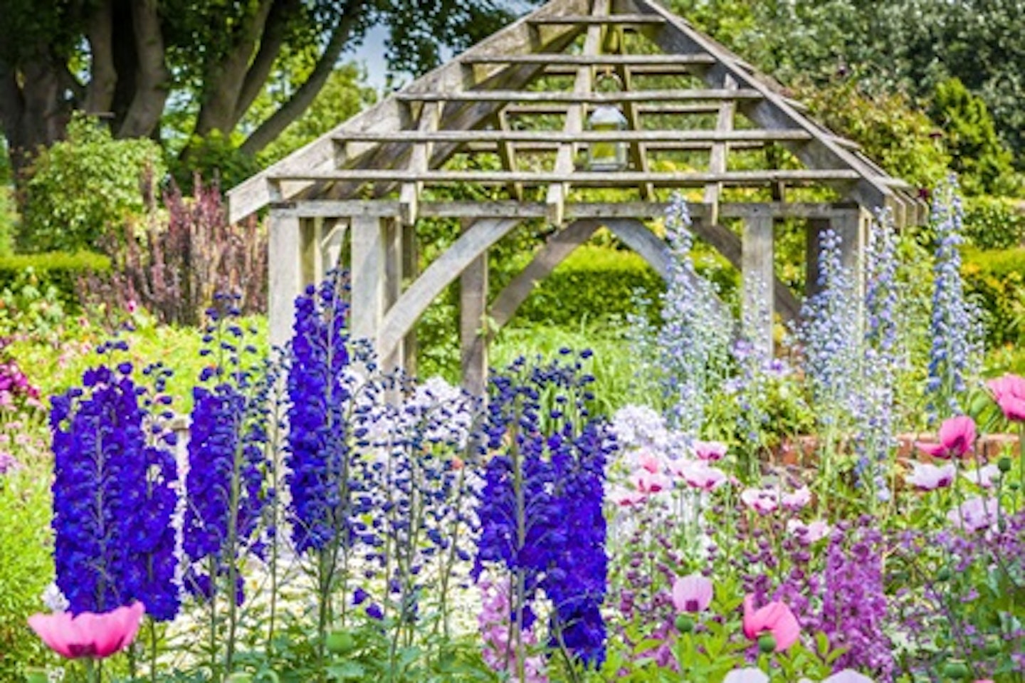 Exclusive Day at Wollerton Old Hall Gardens with Chris Beardshaw including Tour and Lunch 3