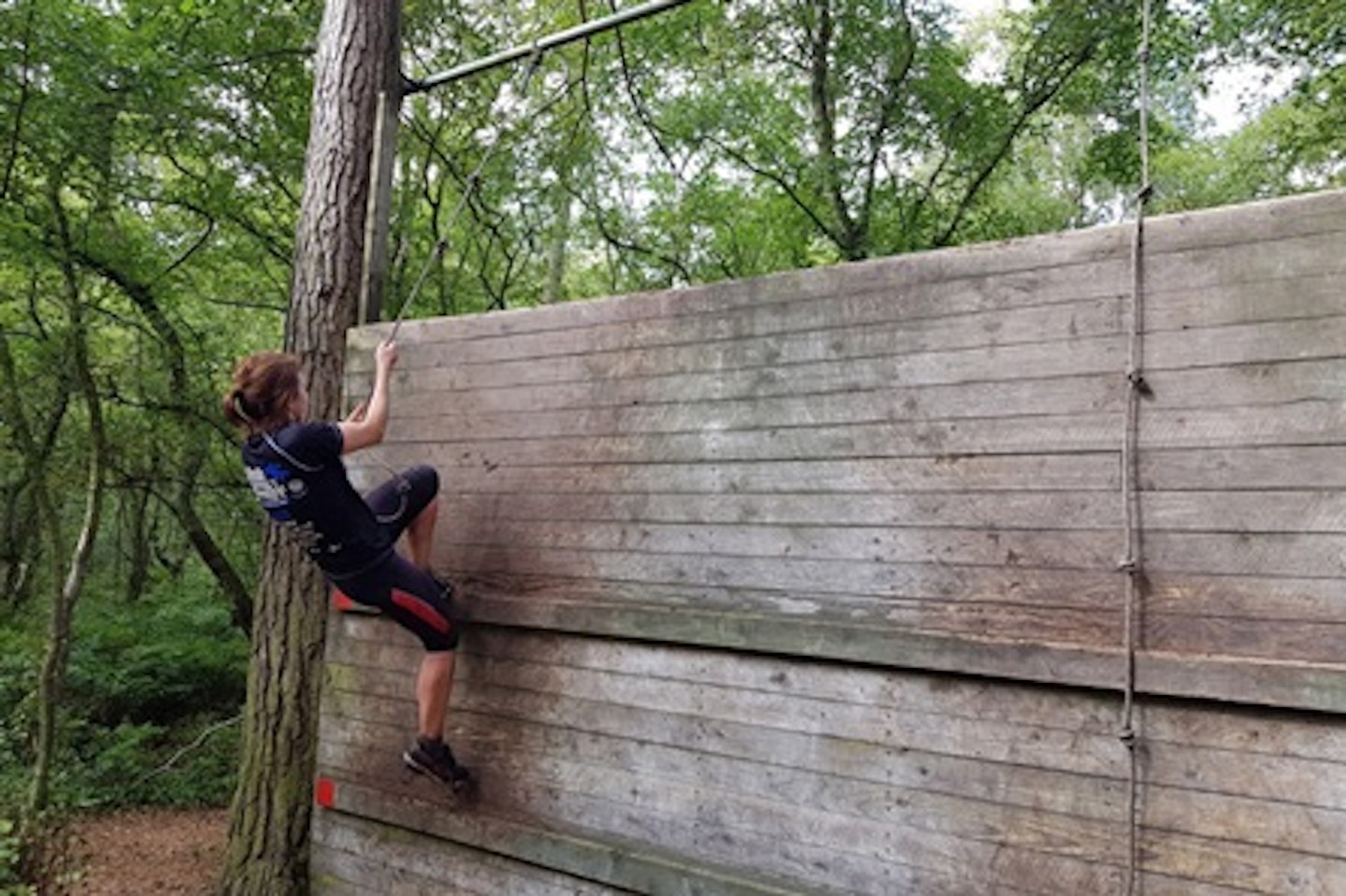 Extreme Krypton Factor Assault Course