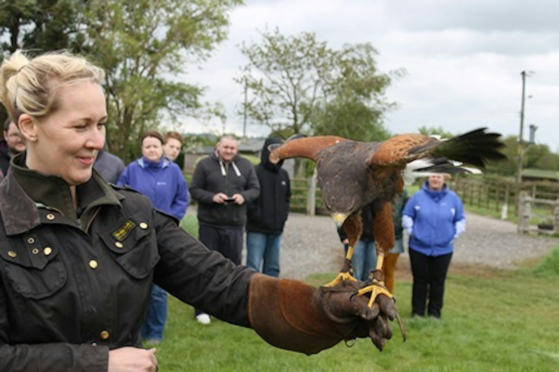 Falconry Taster for Two 2