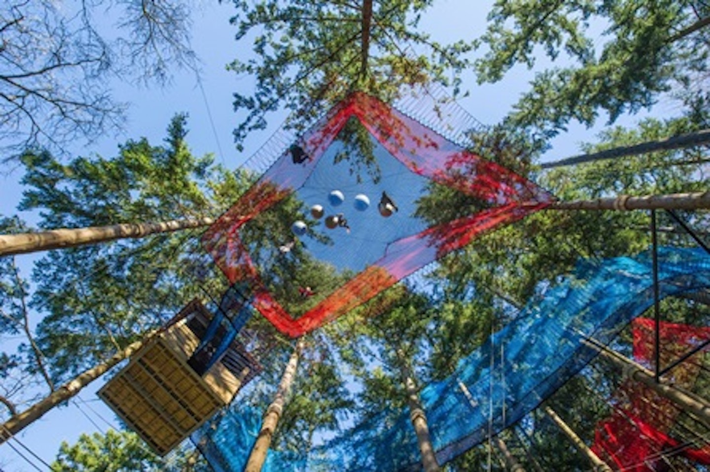 Family of Four Treetop Nets Experience at Zipworld 2