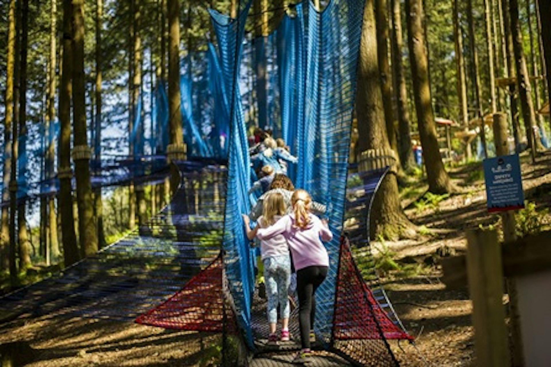 Family of Four Treetop Nets Experience at Zipworld 4
