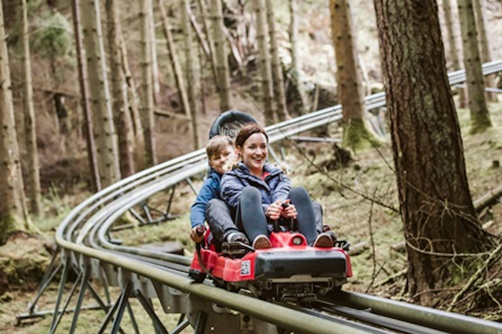 Fforest Coaster and Treetop Nets Experience for Two 2