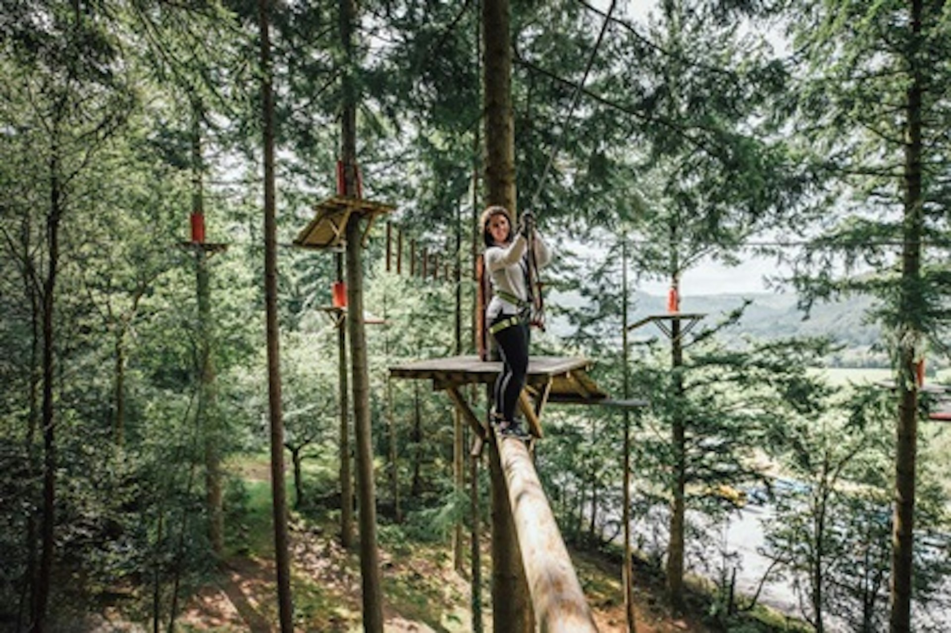 Fforest Zip Safari at Zip World for Two 1