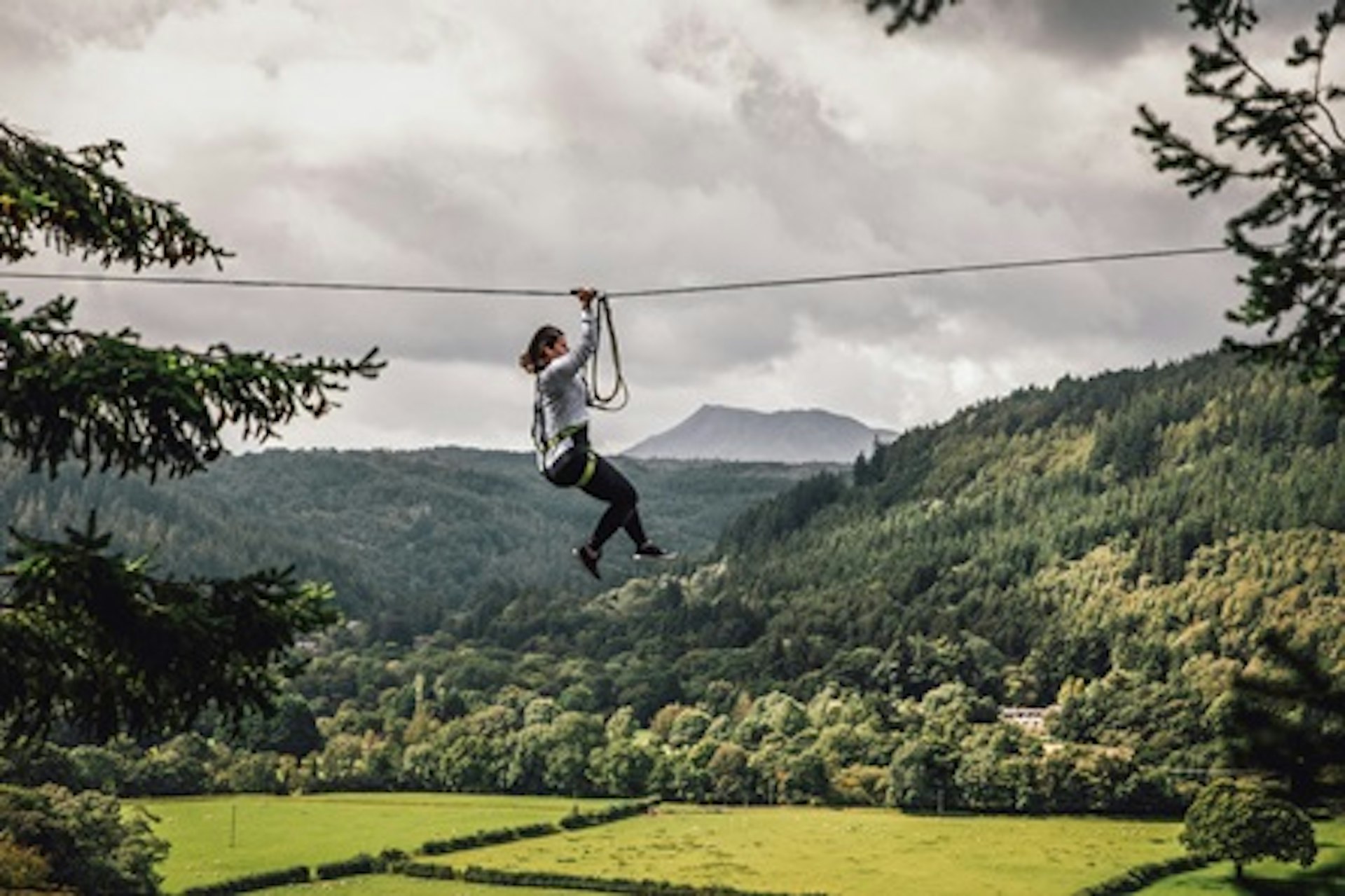 Fforest Zip Safari at Zip World for Two 2