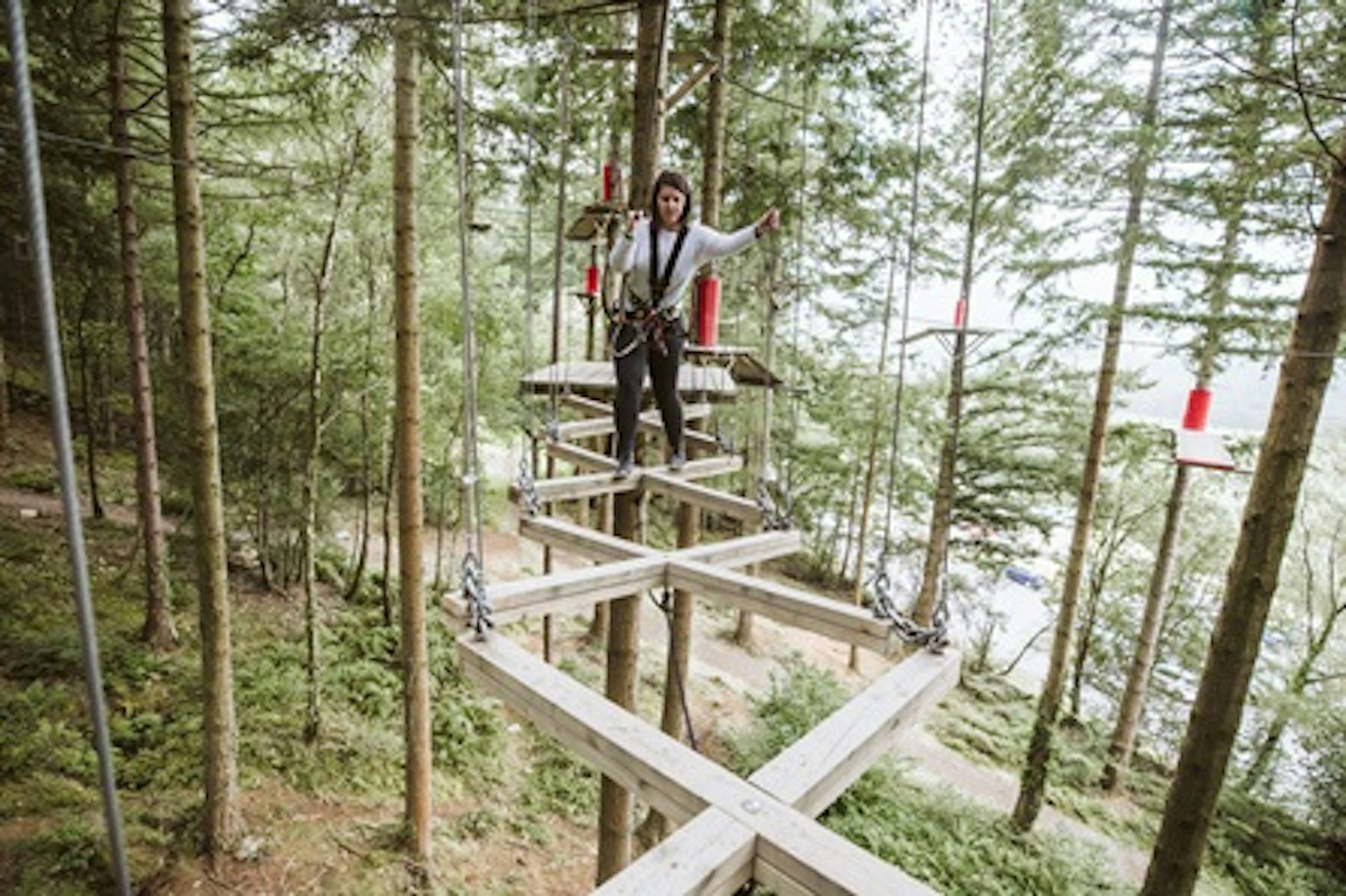 Fforest Zip Safari at Zip World for Two 3