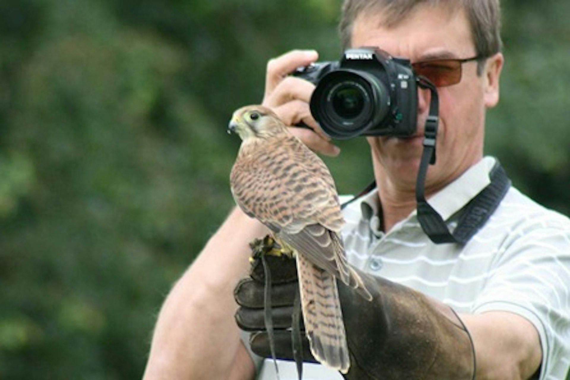 Full Day Wildlife Photography Experience at Millets Falconry Centre 1