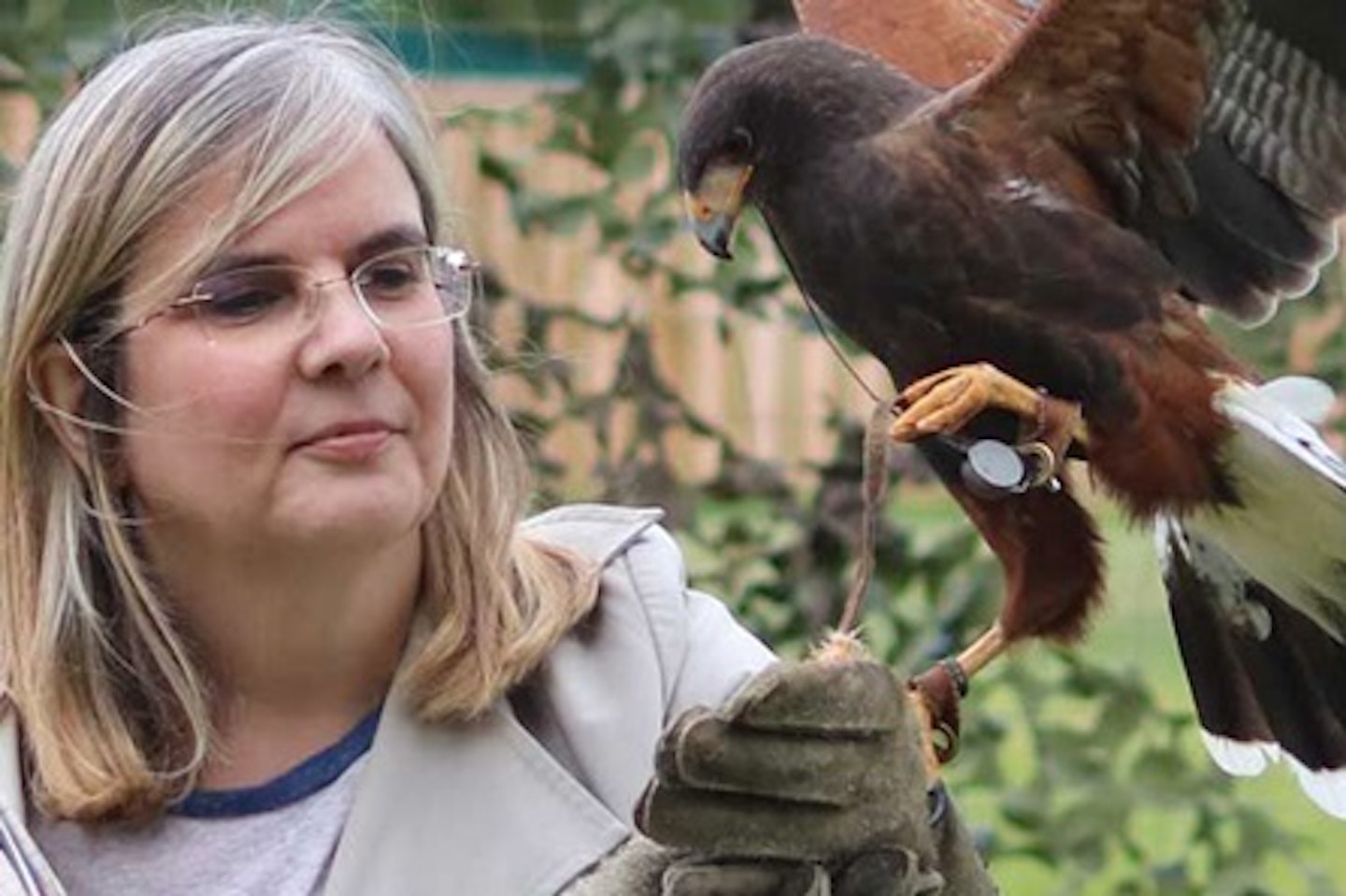 Full Day Wildlife Photography Experience at Millets Falconry Centre 2