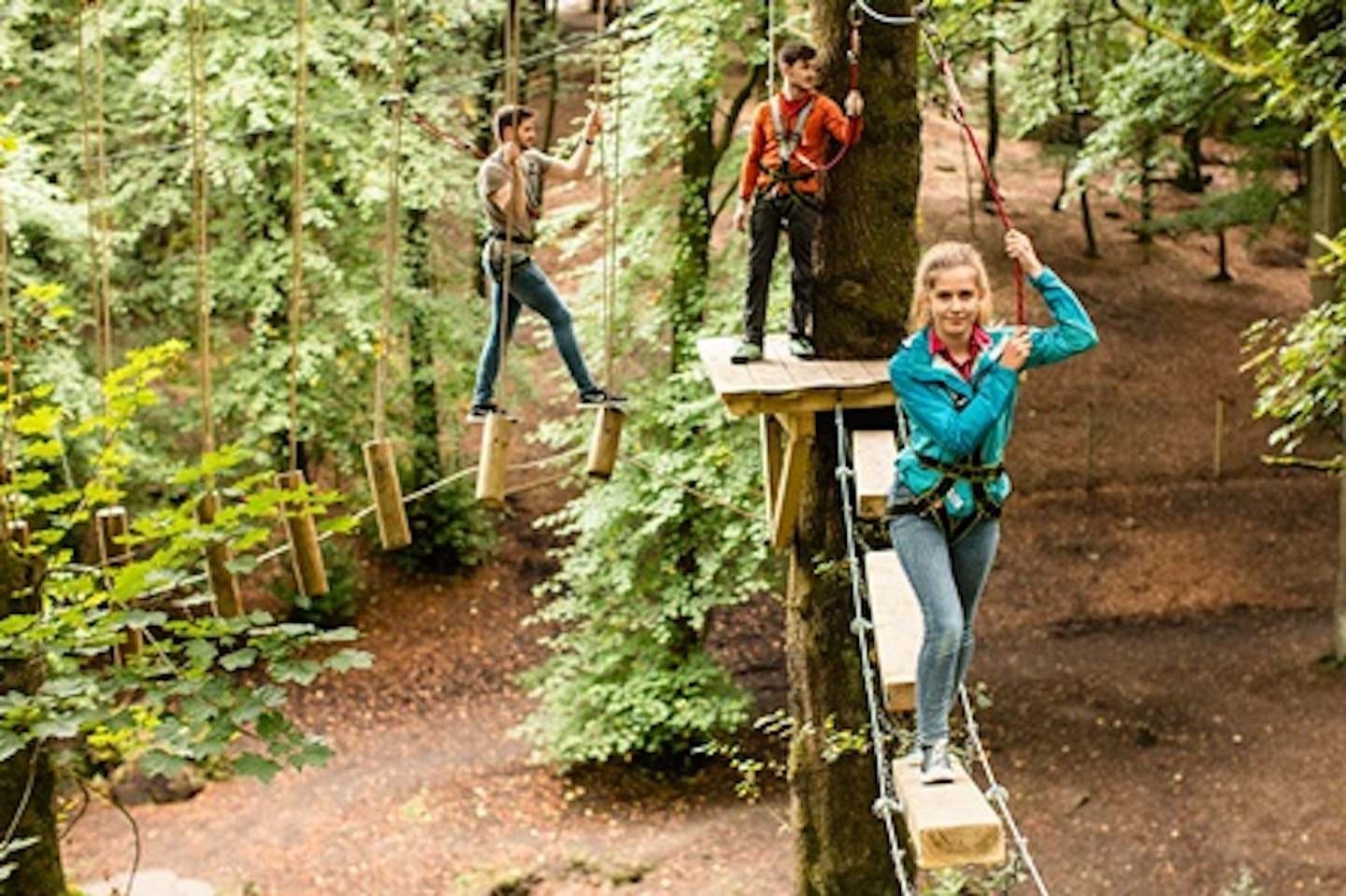 Full High Ropes Treetop Zip Trek and Nets Experience 4