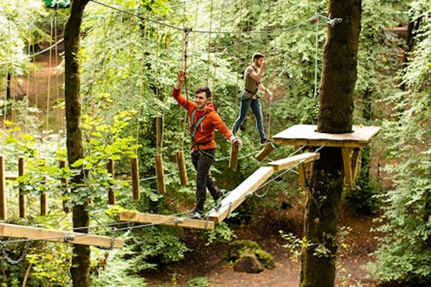 Full High Ropes Treetop Zip Trek and Nets Experience for Two