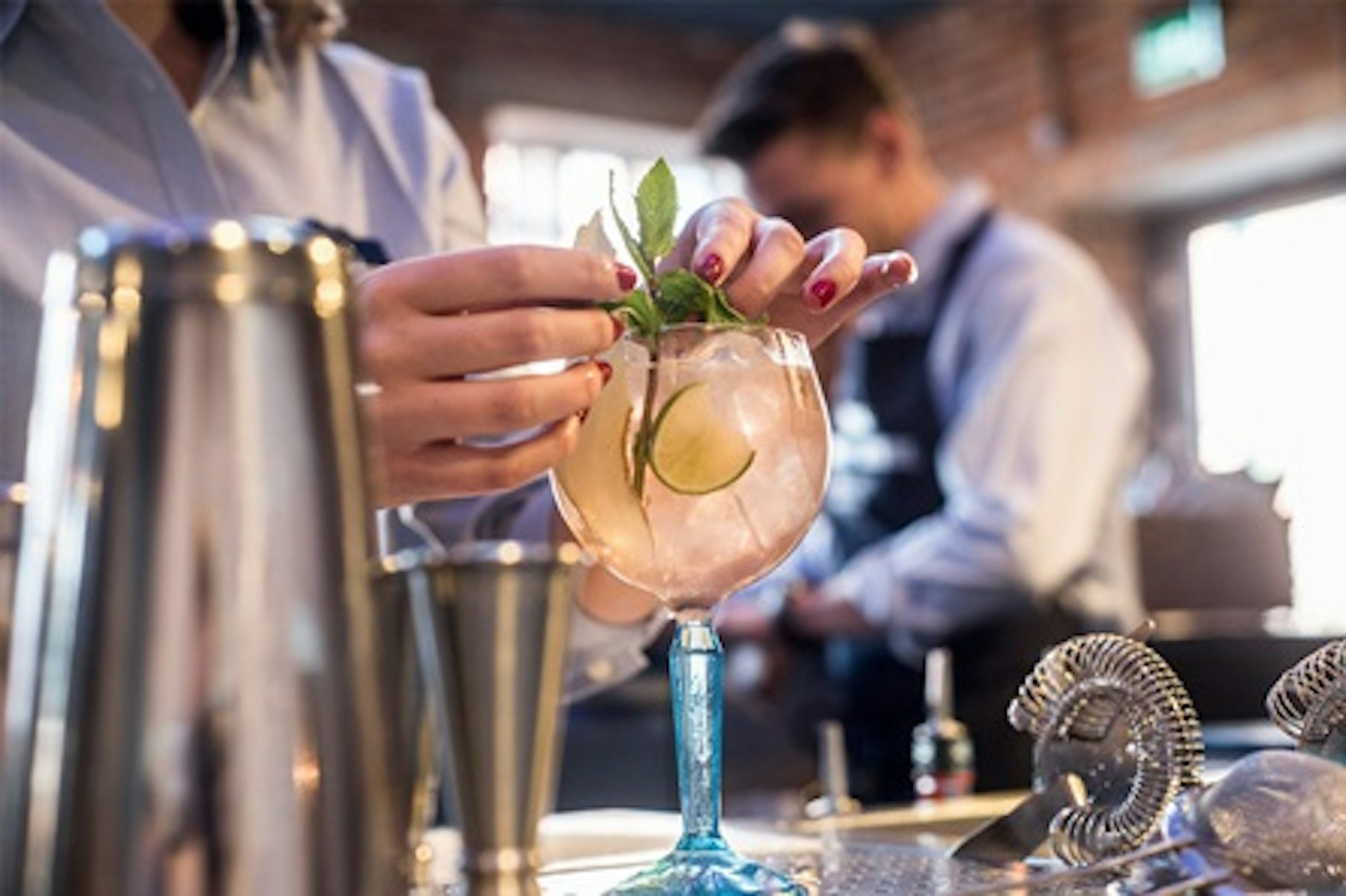 Gin Cocktail Masterclass and Guided Discovery Tour at Bombay Sapphire Distillery 3