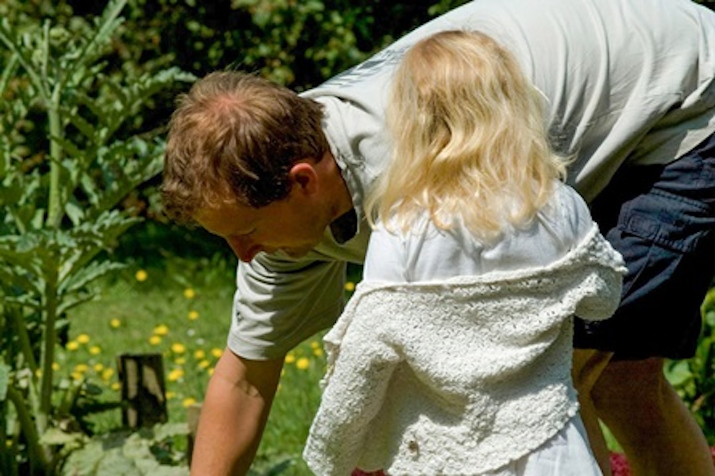 Grow your Own Family Favourites Veg Patch from Rocket Gardens 2