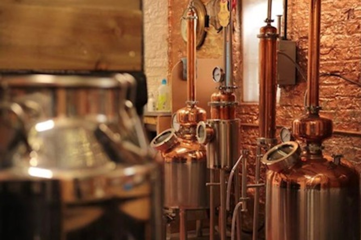 Guided Gin Tour and Tastings for Two at Curious Cat Distillery 1