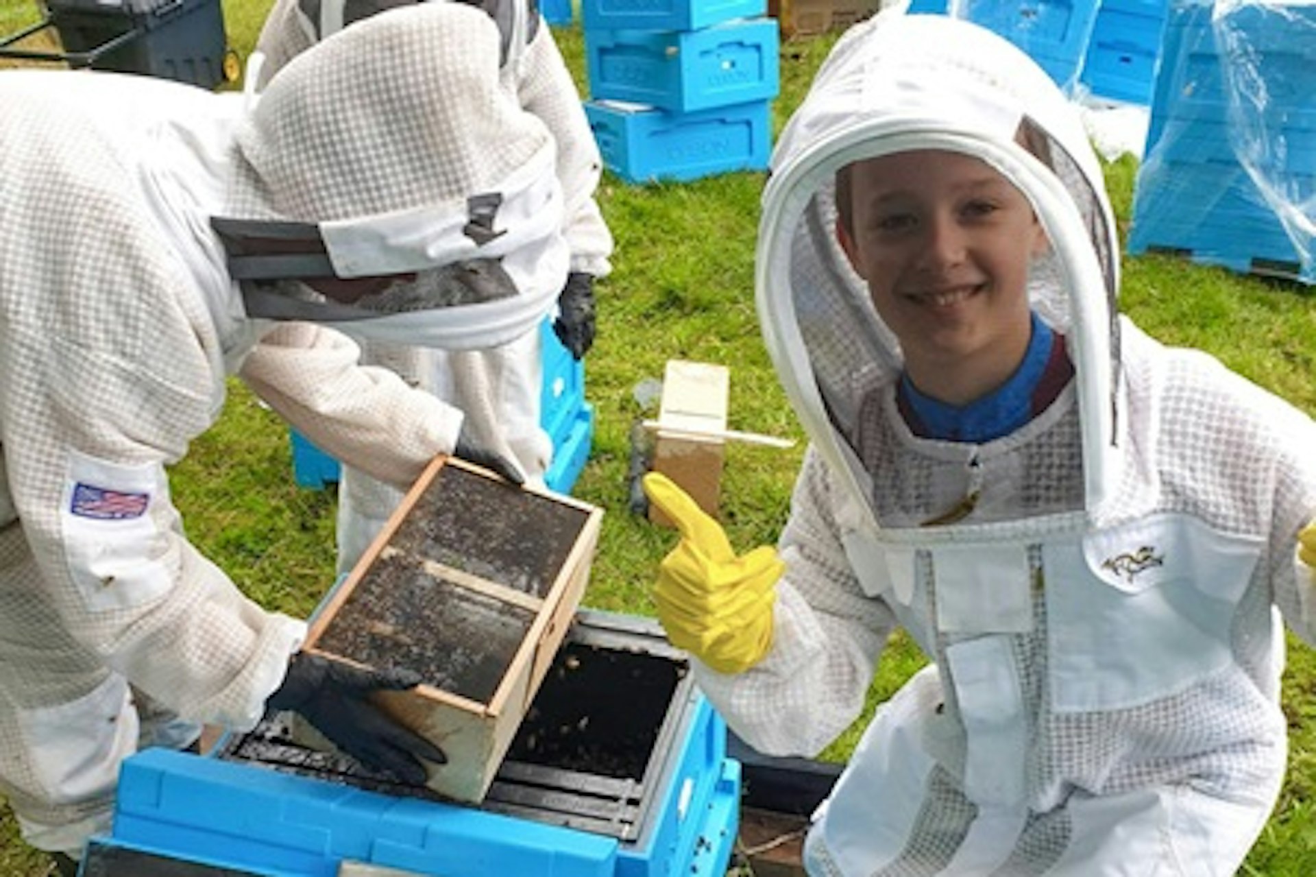 Full Day Beekeeping Experience 3