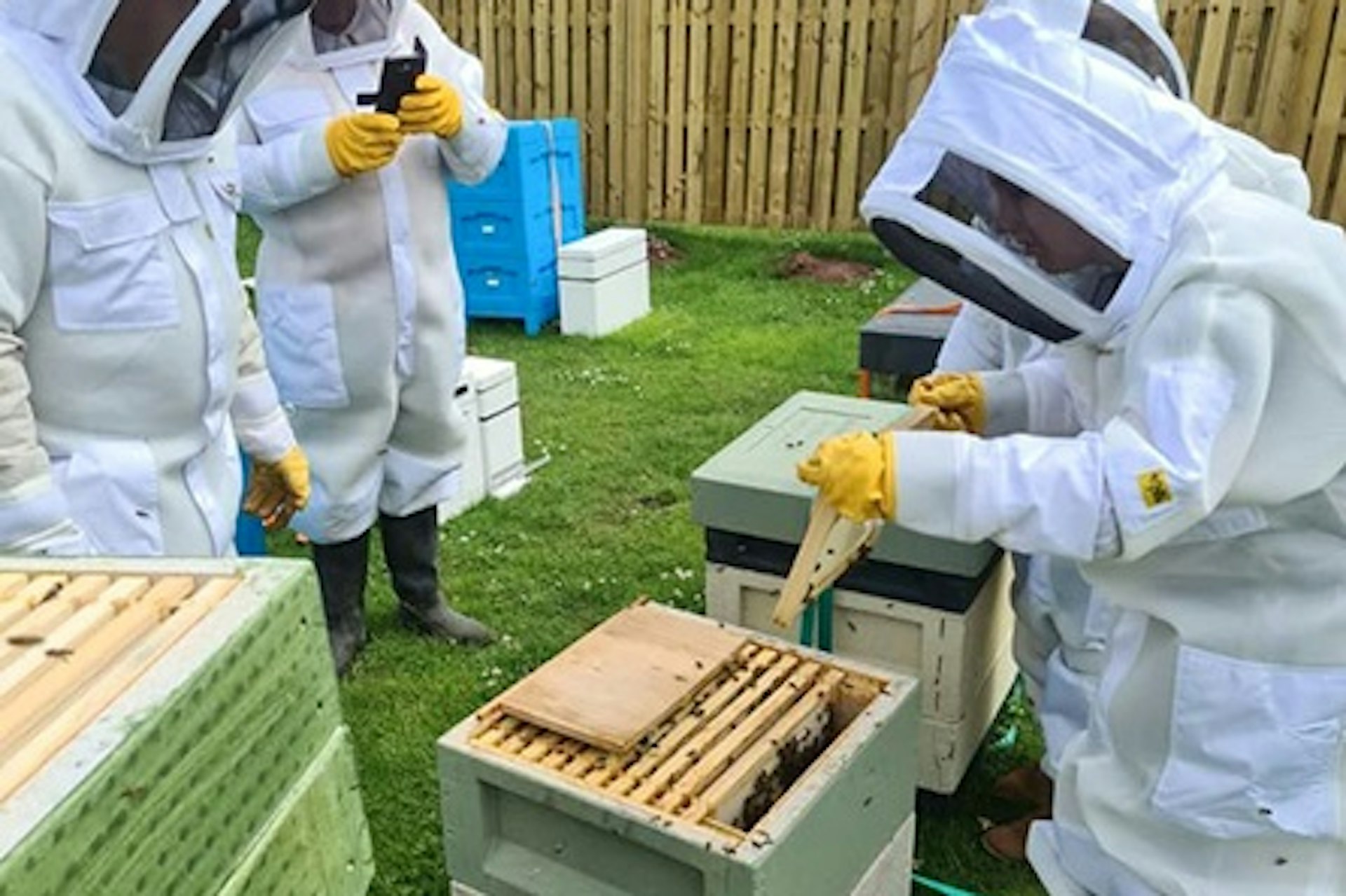 Full Day Beekeeping Experience 2