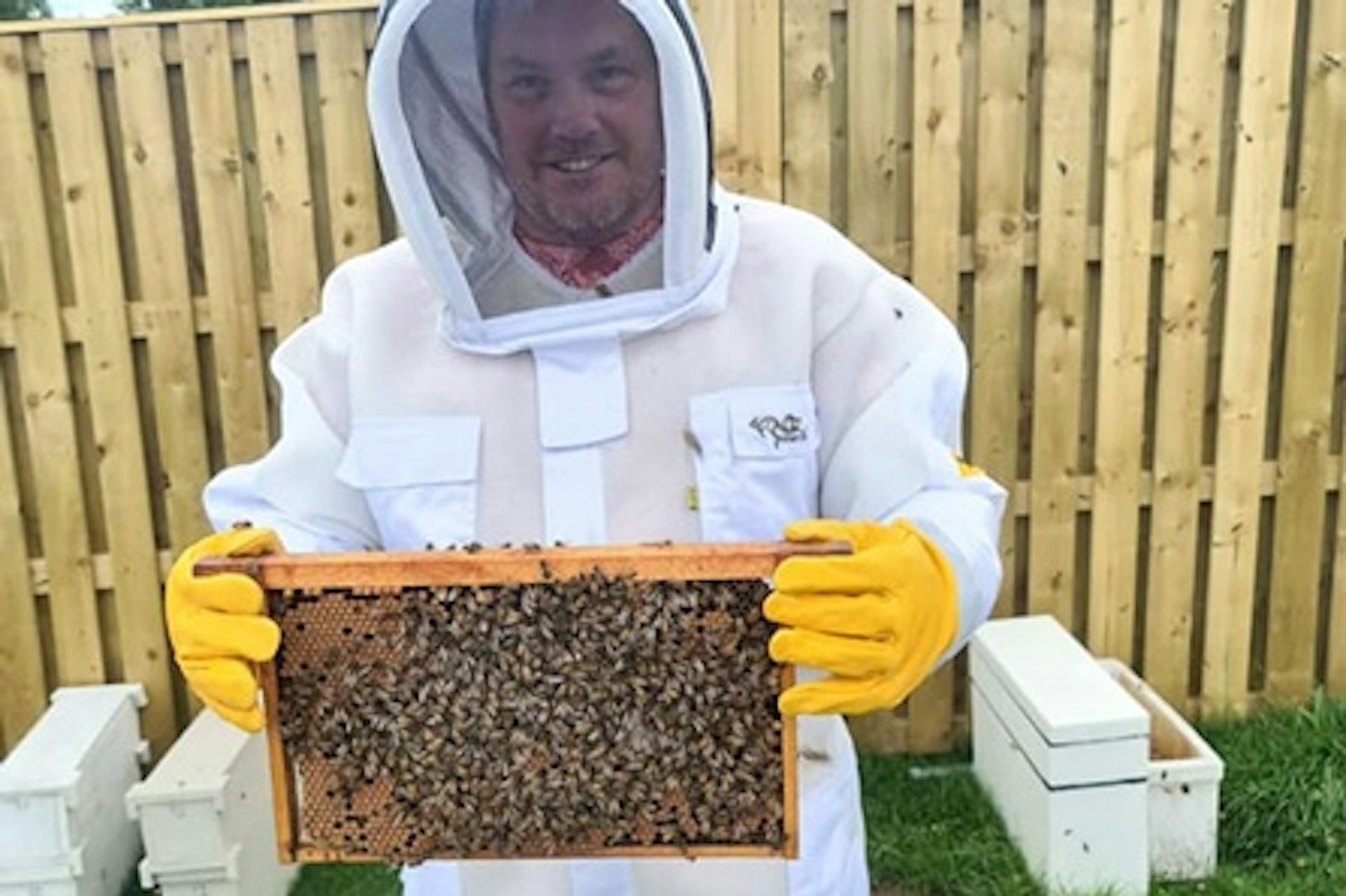 Full Day Beekeeping Experience 4