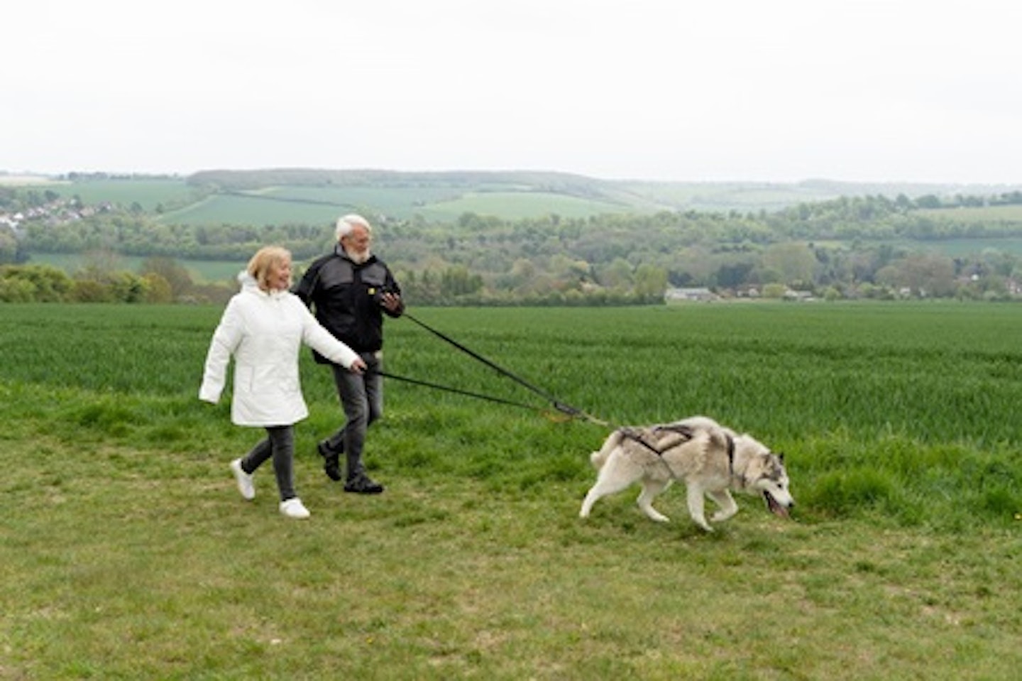 Hike with Huskies and Entry to Eagle Heights Wildlife Foundation for Two 1