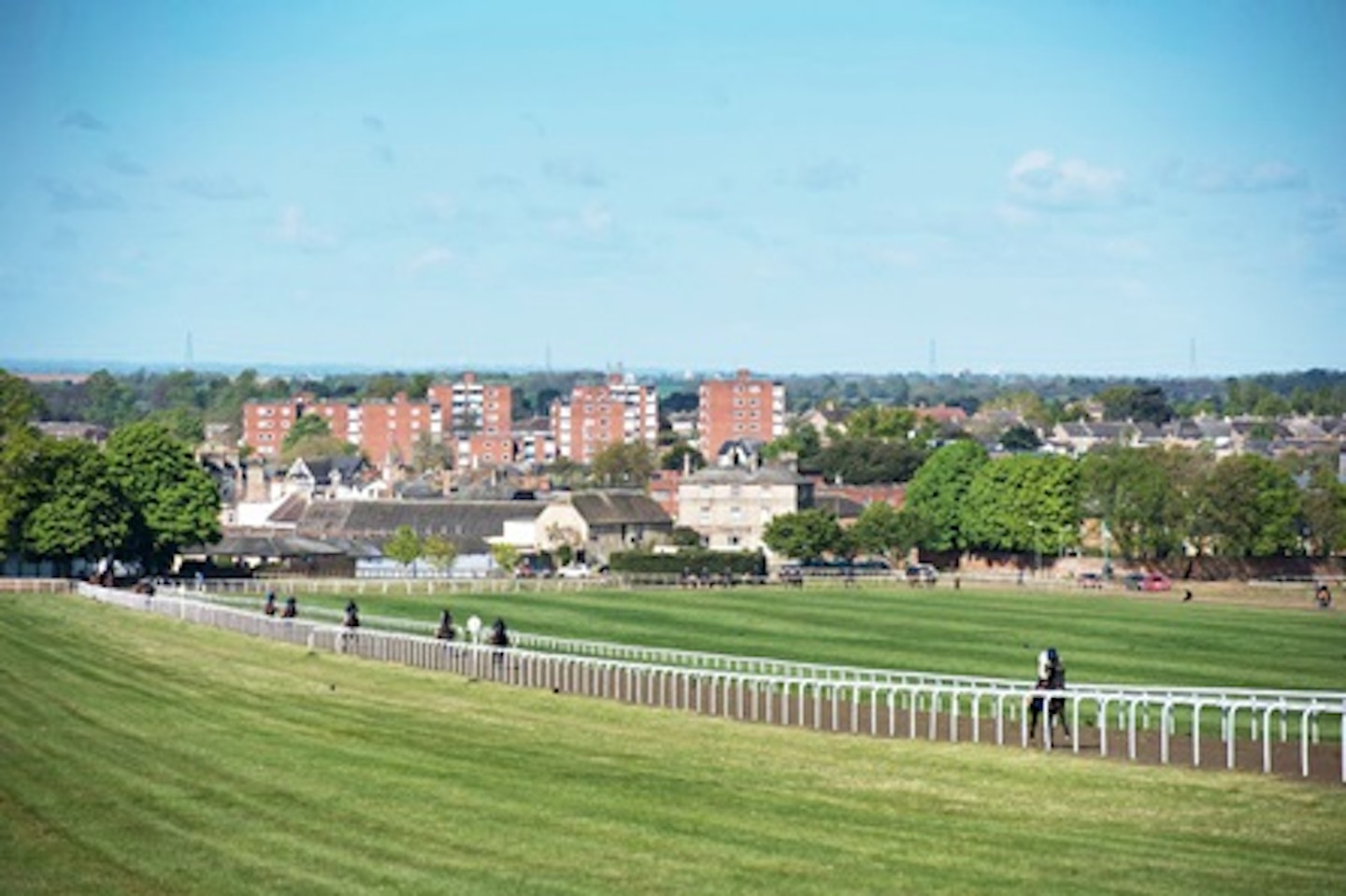 Horse Racing Lover's Experience with Behind the Scenes Half Day Guided Tour at Newmarket