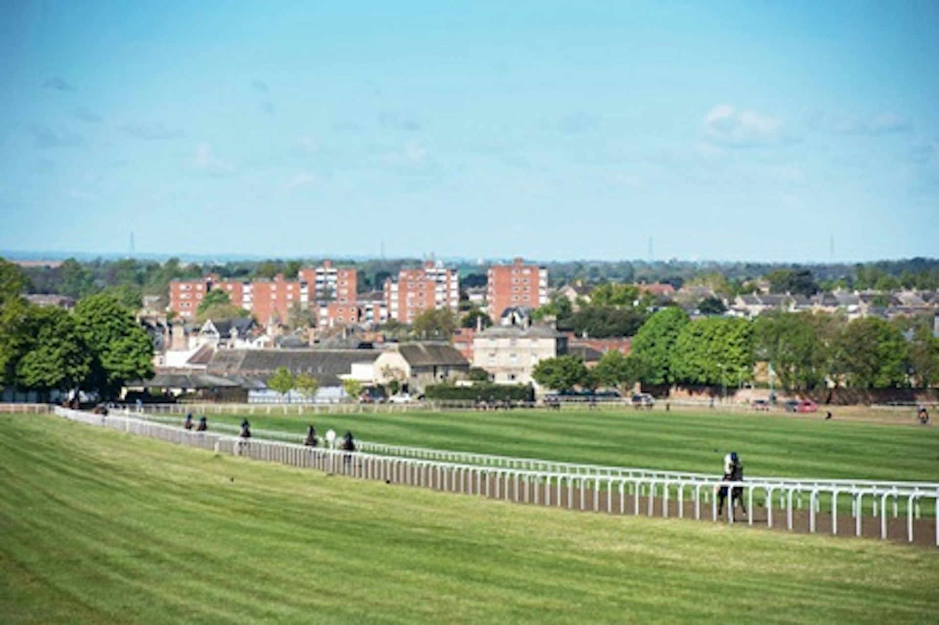 Horse Racing Lover's Experience with Behind the Scenes Half Day Guided Tour at Newmarket 2