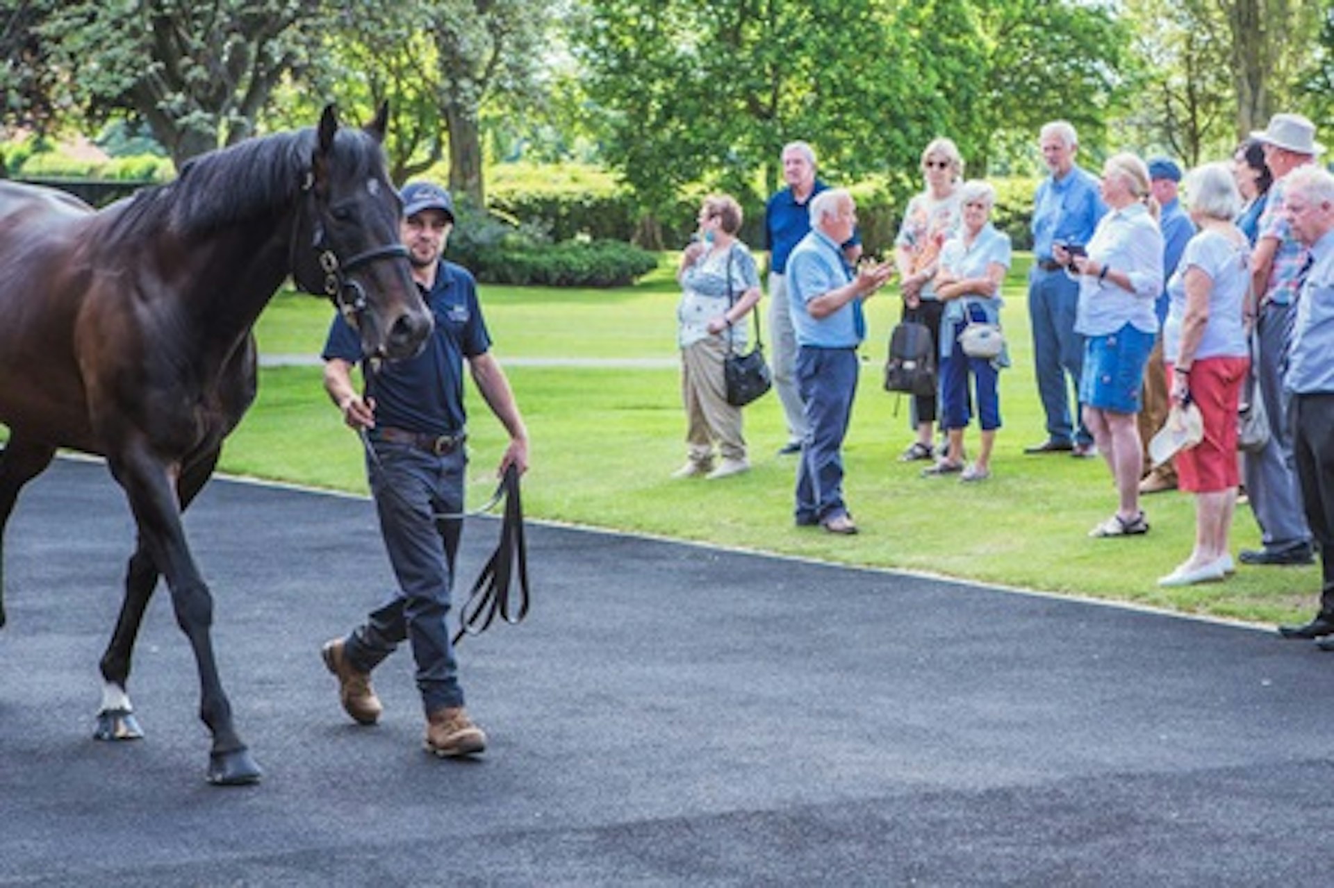 Horse Racing Lover's Experience with Behind the Scenes Half Day Guided Tour at Newmarket 3