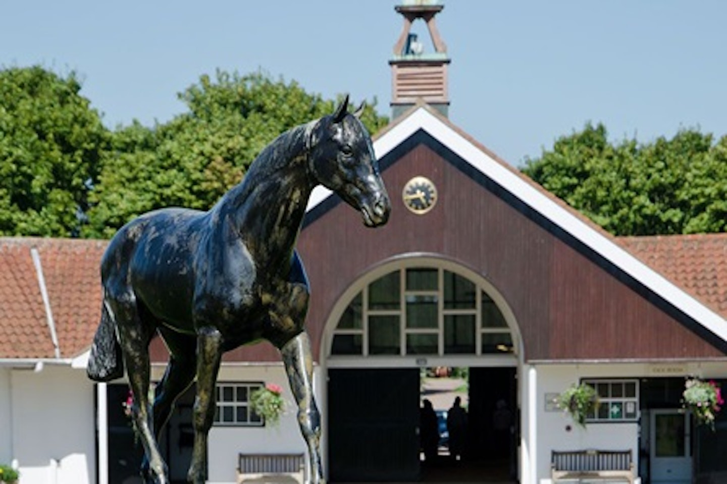 Horse Racing Lover's Experience with Behind the Scenes Half Day Guided Tour at Newmarket