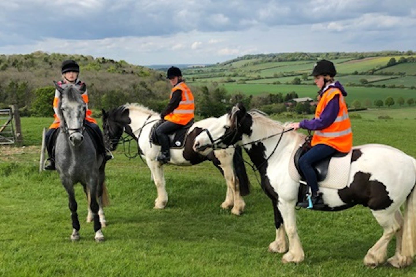 Horse Riding on the Ashridge Estate