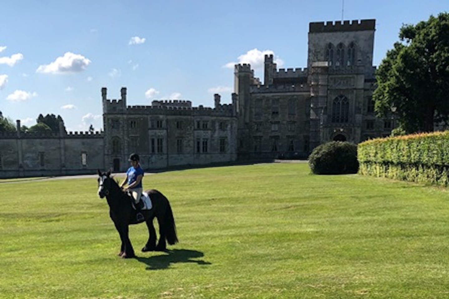 Horse Riding on the Ashridge Estate