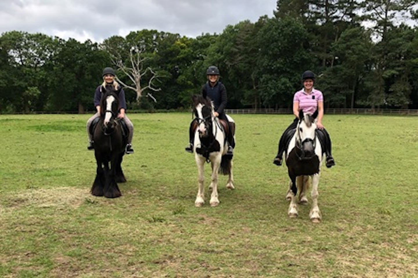 Horse Riding on the Ashridge Estate