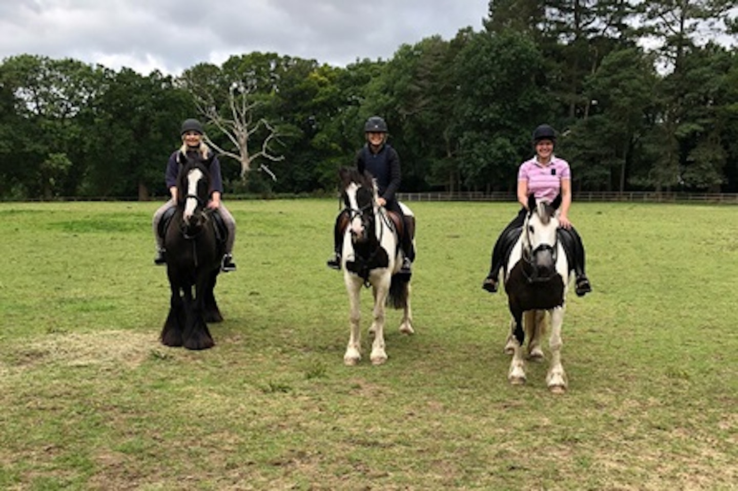 Horse Riding on the Ashridge Estate 3