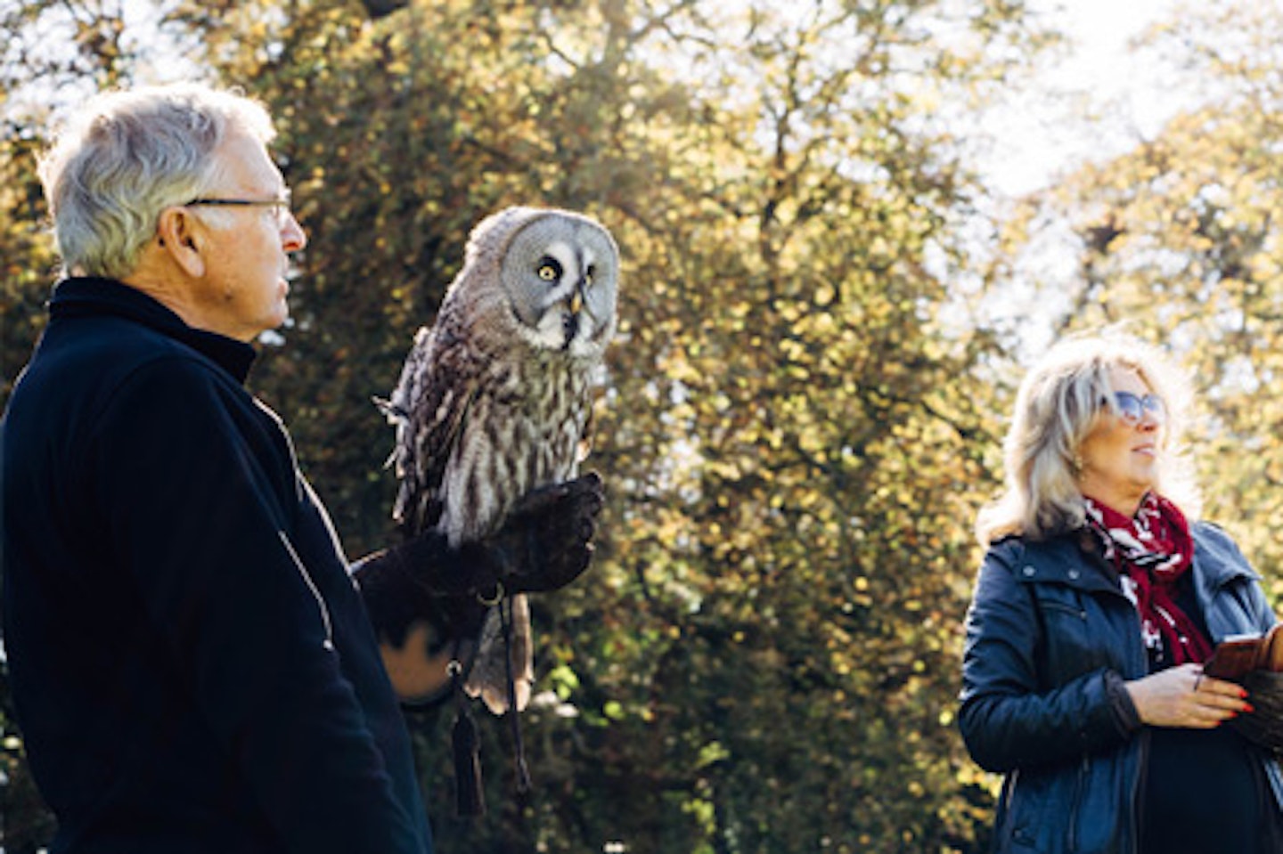 Introduction to Owl Handling for Two 1