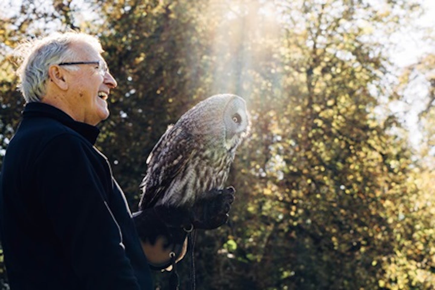 Introduction to Owl Handling