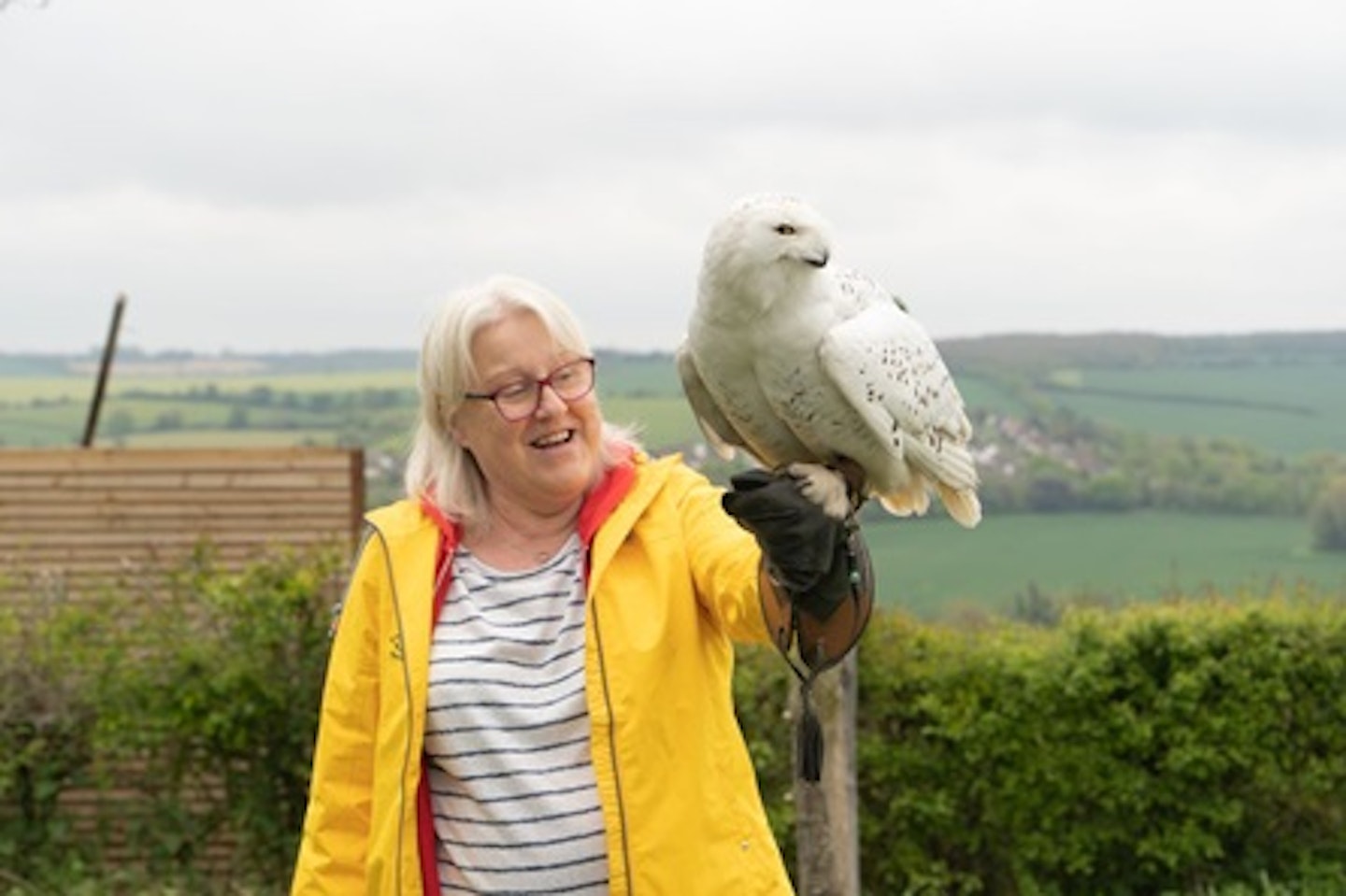 Introduction to Owl Handling for Two