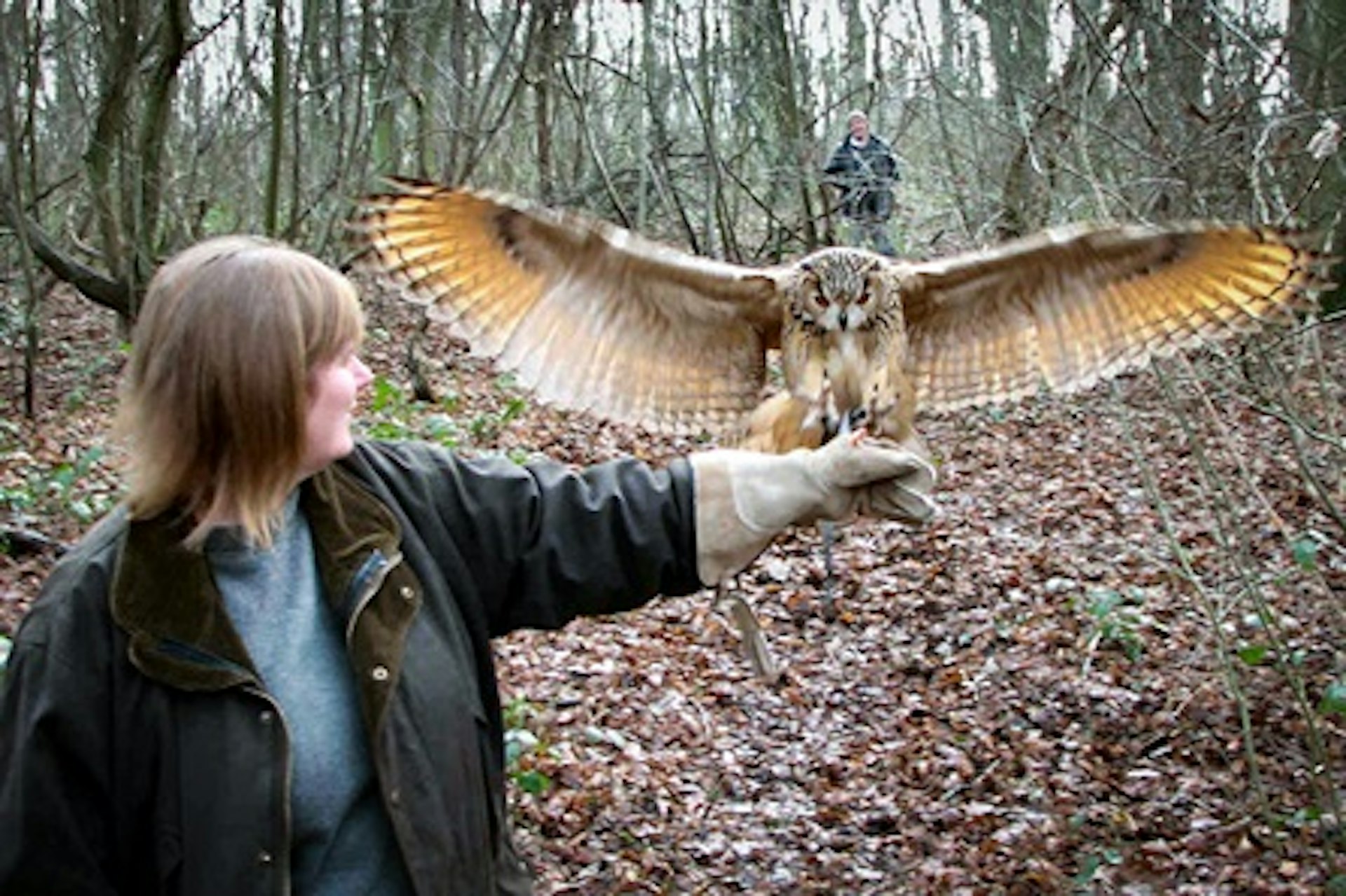 Introductory Falconry 4