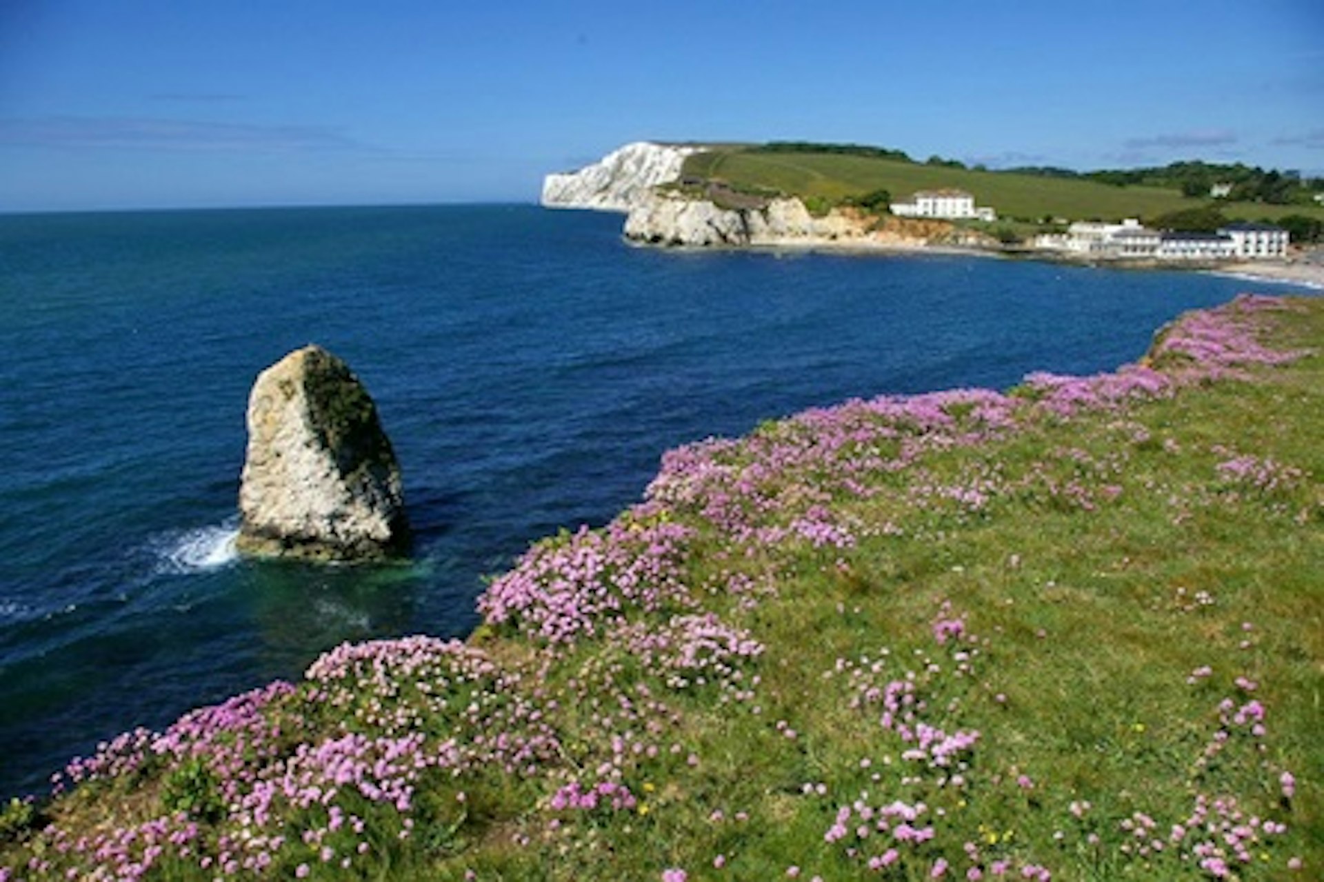 Isle of Wight Day Trip and Guided Tour for Two 4