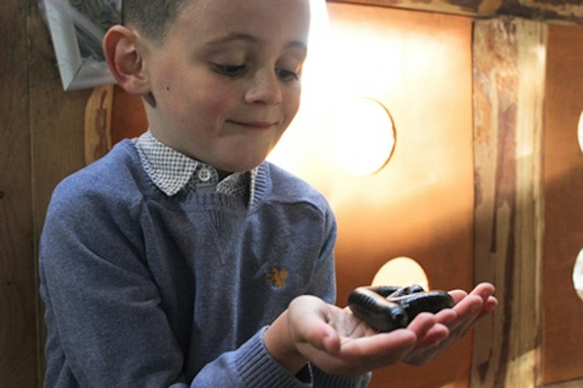 Junior Big Bug Encounter at Hemsley Conservation Centre 1