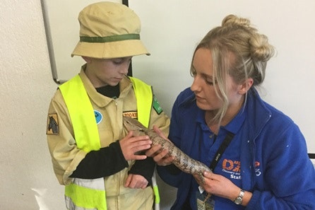 Junior Keeper for the Day for Two at Dartmoor Zoo 1