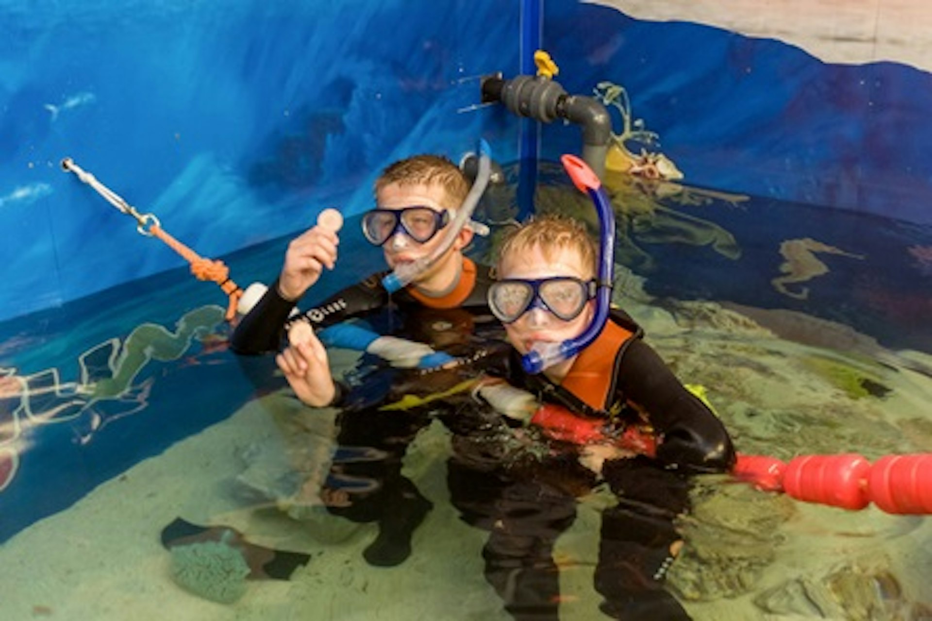 Junior Snorkel with Baby Sharks at Skegness Aquarium 3