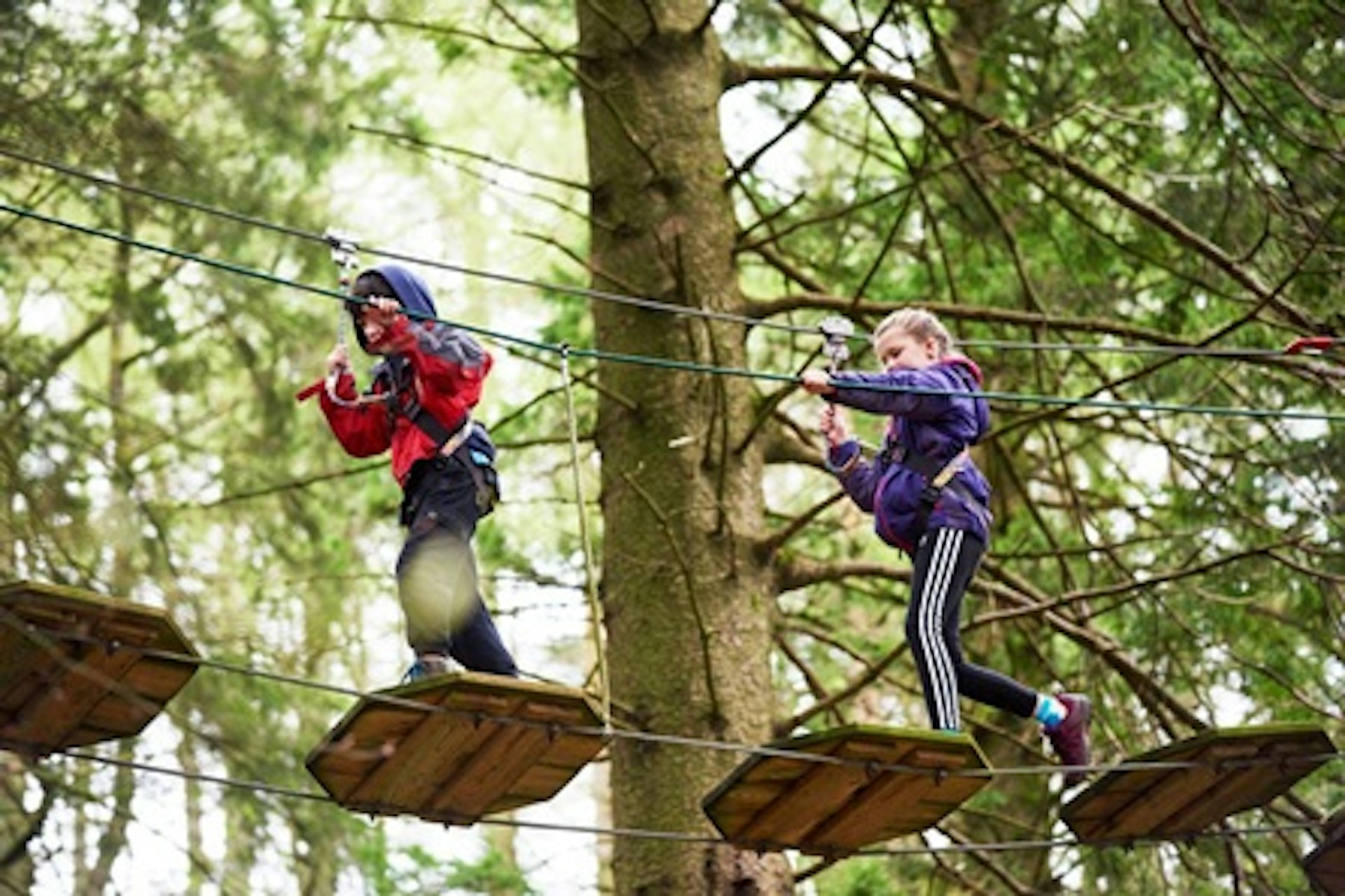 Junior Tree Top Adventure for Two with Go Ape 1