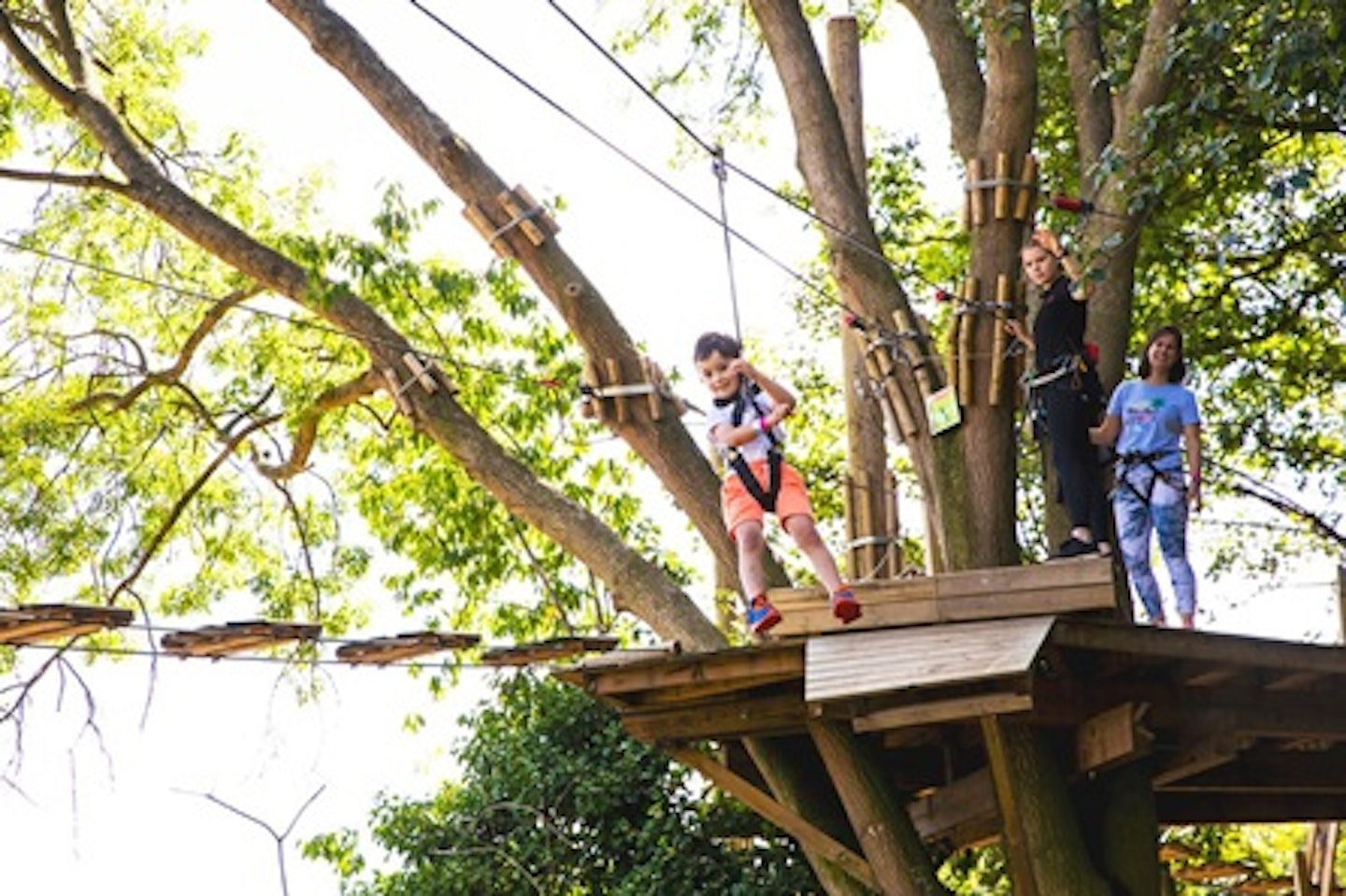 Junior Tree Top Adventure for One with Go Ape 2