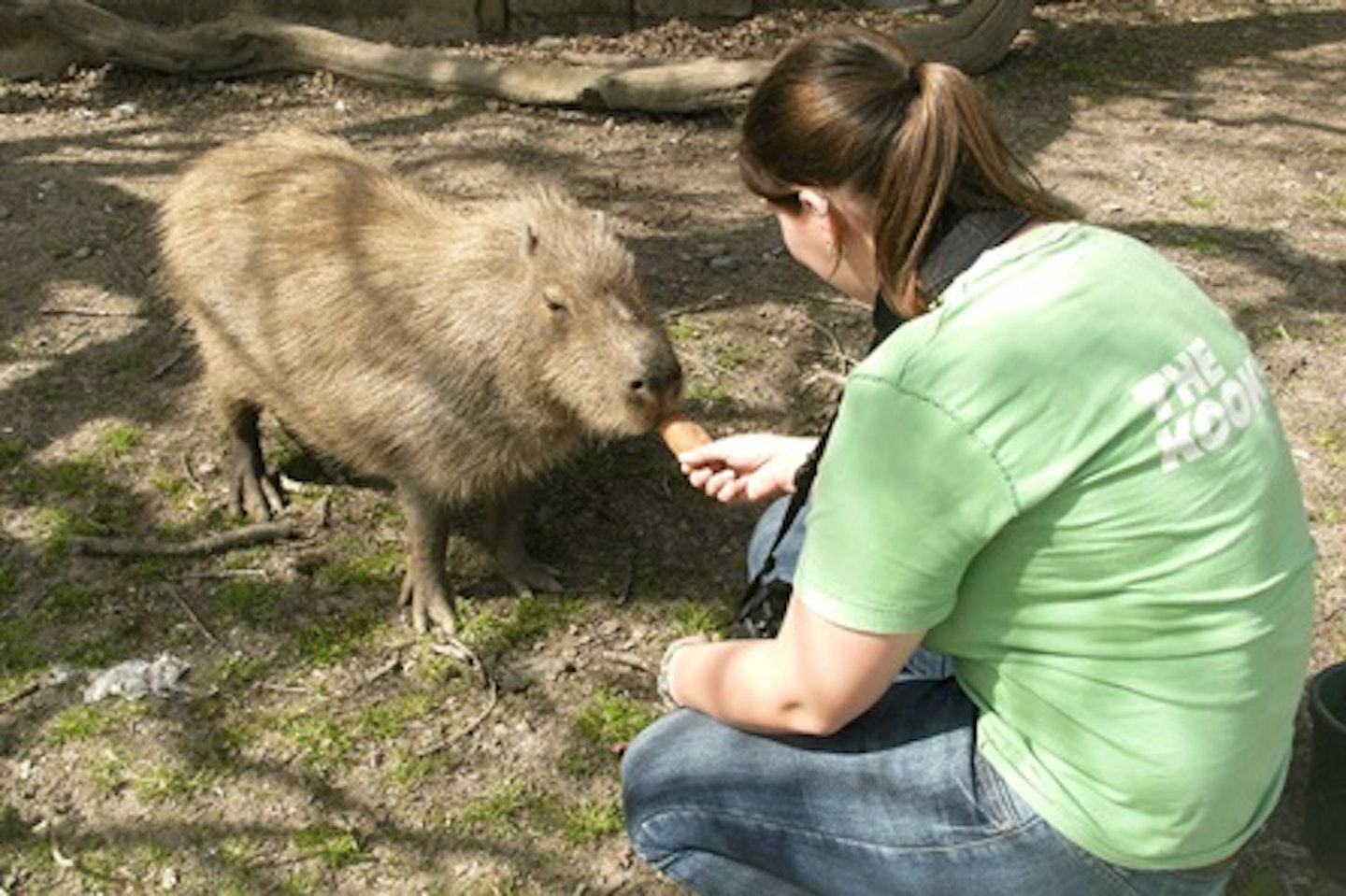 Keeper for the Day with Lunch for Two at Dartmoor Zoo 2