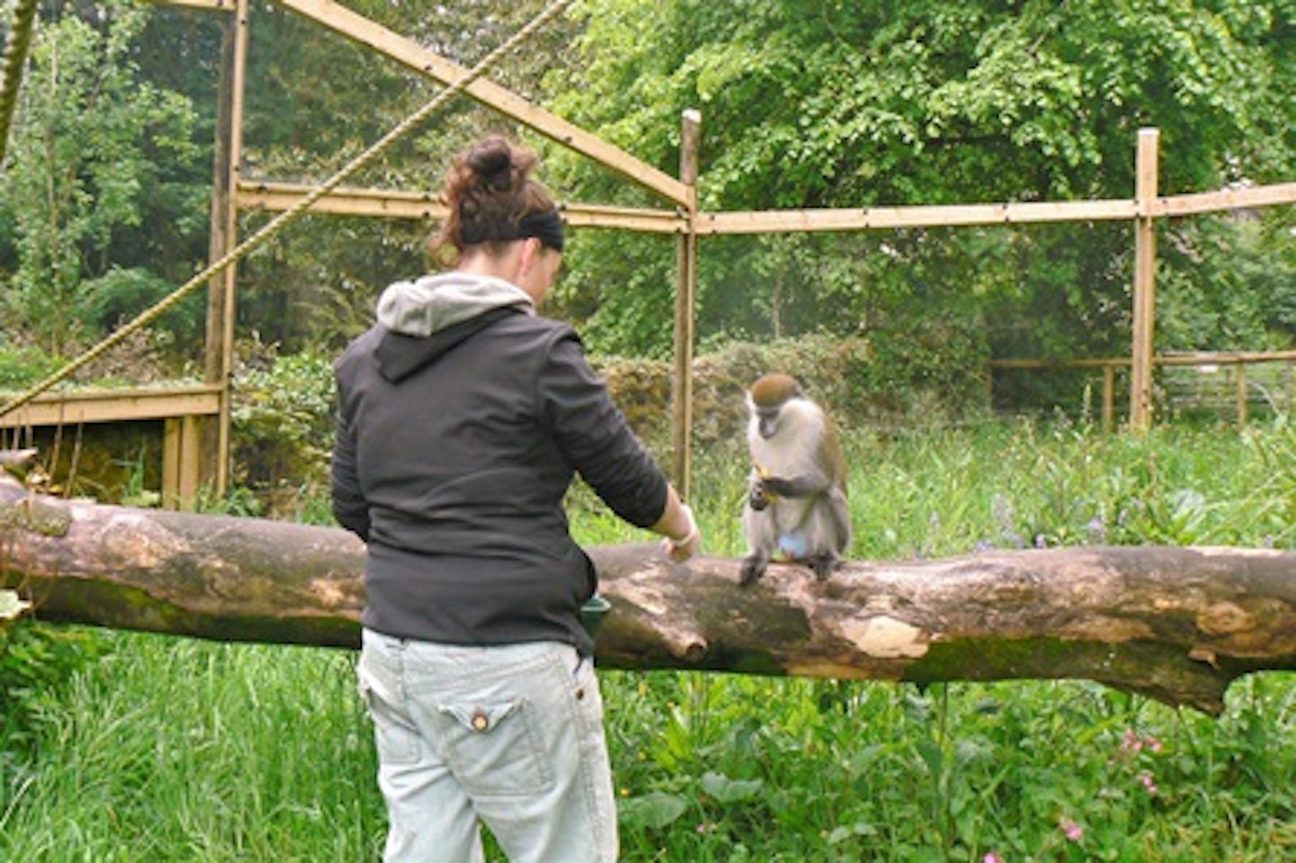 Keeper for the Day with Lunch for Two at Dartmoor Zoo 3